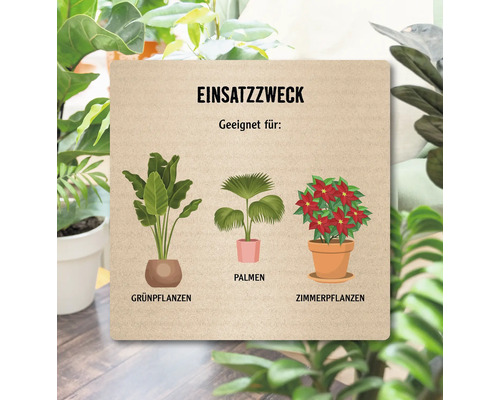 Illustration mit dem Verwendungszweck verschiedener Pflanzenarten: Grünpflanzen, Palmen und Zimmerpflanzen.
