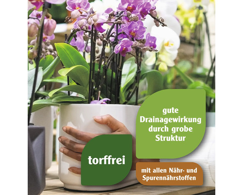Orchideen in einem weißen Topf mit Hinweisen zu torffrei, guter Drainage und Nährstoffen.