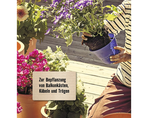 Blumen für die Bepflanzung von Balkonkästen, Kübeln und Trögen