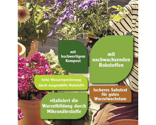 Blumen in Töpfen mit Hinweisen zu hochwertigem Kompost, nachwachsenden Rohstoffen, hoher Wasserspeicherung, ausgewählten Rohstoffen, Vitalisierung der Wurzelbildung und lockerem Substrat für gutes Wurzelwachstum
