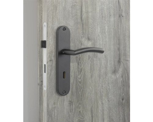 Schwarze Türklinke mit Langschild an grauer Holztür