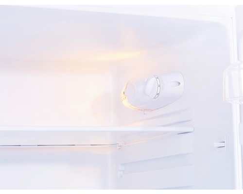 Innenansicht eines Kühlschranks mit Temperaturregler und Regal