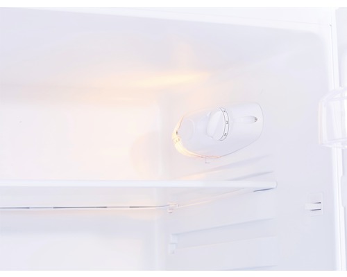 Innenansicht eines Kühlschranks mit Temperaturregler und Regalböden