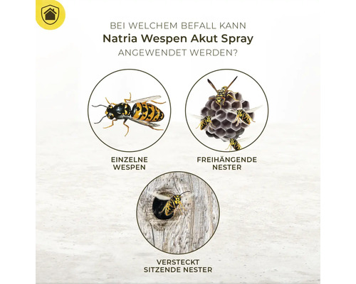 Anwendungsbereiche von Natria Wespenspray: Einzelne Wespen, freihängende Nester, versteckte Nester.