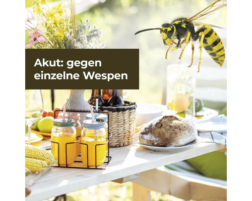 Szene mit einem gedeckten Tisch im Freien und einer Wespe im Flug