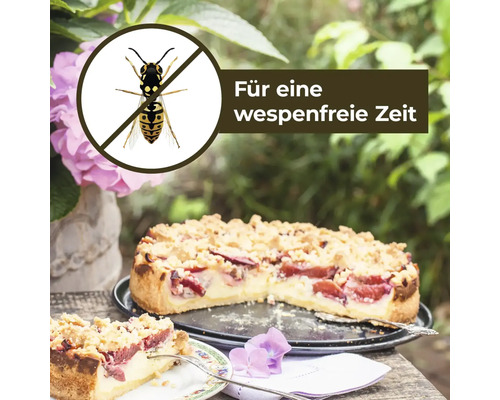 Symbol für eine wespenfreie Zeit über einem Pflaumenkuchen im Freien