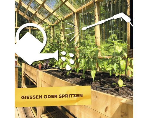 Illustration: Gießen und Spritzen im Gewächshaus
