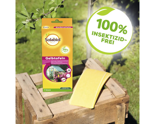 Solabiol Gelbtafeln zur Schädlingsbekämpfung im Garten auf einer Holzkiste