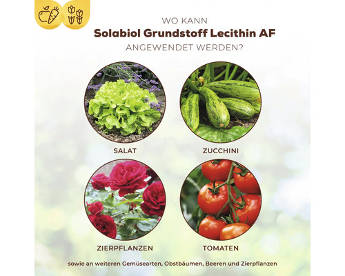 Anwendungsbereiche Solabiol Grundstoff Lecithin AF: Salat, Zucchini, Zierpflanzen, Tomaten sowie weitere Gemüsearten, Obstbäume, Beeren und Zierpflanzen.