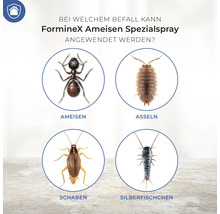 Ameisen Spezial Pumpspray Protect Home Blattanex 500 ml