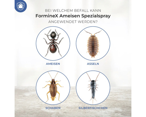 Anwendungsbereiche von Forminex Ameisen Spezial Spray: Ameisen, Asseln, Schaben, Silberfischchen.
