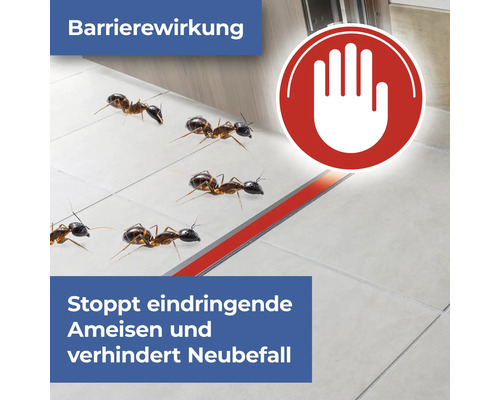 Barriere gegen Ameisen mit Stopp-Symbol