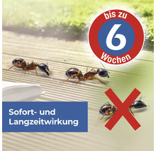 Ameisen Spezial Pumpspray Protect Home Blattanex 500 ml