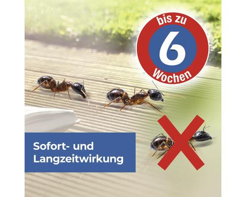 Ameisenmittel mit Sofort- und Langzeitwirkung bis zu 6 Wochen