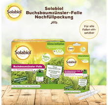Solabiol Buchsbaumzünslerfalle Nachfüllpackung für die Schädlingsbekämpfung