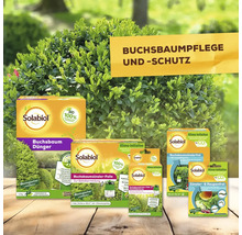 Verschiedene Solabiol Produkte zur Buchsbaumpflege und zum Buchsbaumschutz vor einem Buchsbaum