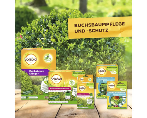 Verschiedene Solabiol Produkte zur Buchsbaumpflege und zum Buchsbaumschutz vor einem Buchsbaum