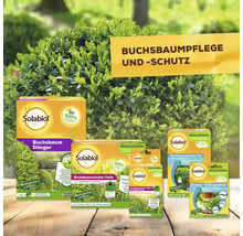 Solabiol Produkte zur Buchsbaumpflege und zum Buchsbaumschutz