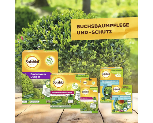 Solabiol Produkte zur Buchsbaumpflege und zum Buchsbaumschutz