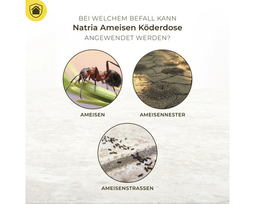 Anwendungsbereiche der Natria Ameisen Köderdose: Ameisen, Ameisennester, Ameisenstrassen