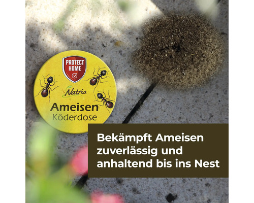 Natria Ameisen Köderdose neben einem Ameisenhaufen.