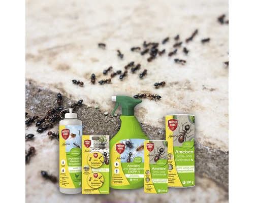 Natria Ameisenbekämpfungsmittel Sortiment gegen Ameisen und andere Schädlinge