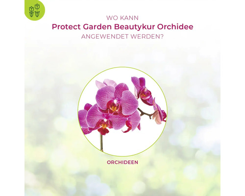 Anwendung von Protect Garden Beautykur Orchidee für Orchideen