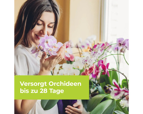 "Frau betrachtet Orchideenblüten