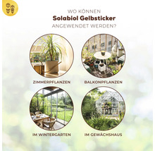 Anwendungsbereiche für Solabiol Gelbsticker: Zimmerpflanzen, Balkonpflanzen, Wintergarten, Gewächshaus