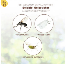 Solabiol Gelbsticker Anwendungsbereiche: Trauermücke, Weiße Fliege und Geflügelte Blattlaus