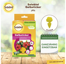 Solabiol Gelbsticker Packung zur Schädlingsbekämpfung in Innenräumen und Wintergärten