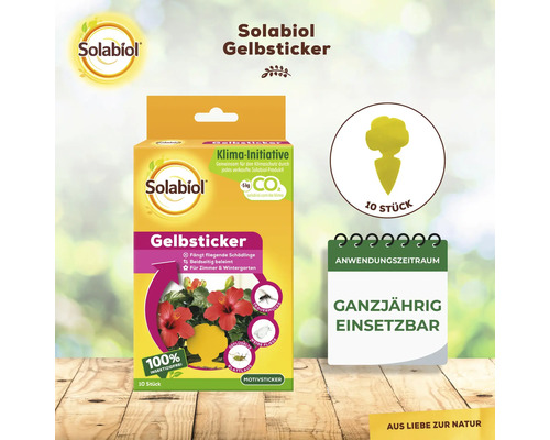 Solabiol Gelbsticker Packung zur Schädlingsbekämpfung in Innenräumen und Wintergärten