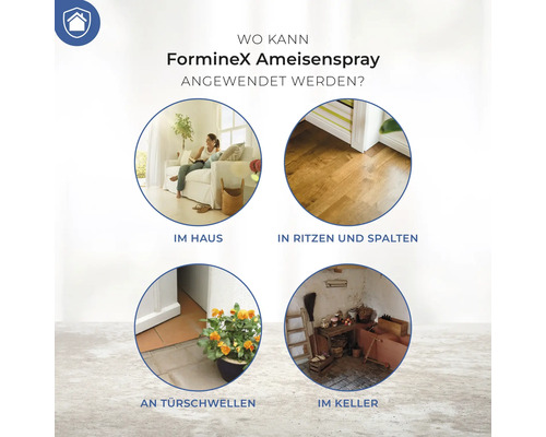Anwendungsbereiche von FormineX Ameisenspray: im Haus, in Ritzen und Spalten, an Türschwellen, im Keller