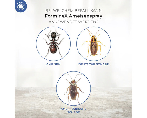 Forminex Ameisenspray Anwendungsbereiche: Ameisen, Deutsche Schabe, Amerikanische Schabe
