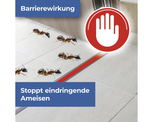 Darstellung von Ameisen, die an einer Barriere gestoppt werden
