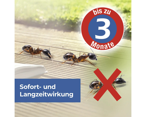 Darstellung von Ameisen mit dem Hinweis auf Sofort- und Langzeitwirkung sowie einer Wirkdauer von bis zu drei Monaten