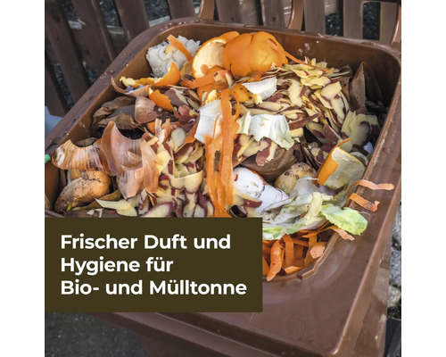 Eine Biotonne gefüllt mit organischen Abfällen wie Obst- und Gemüseschalen