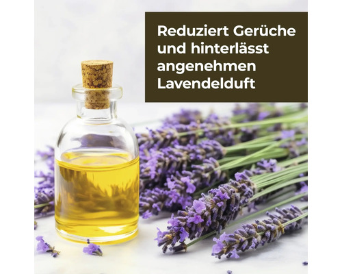 Lavendelduftöl in Flasche mit Lavendelblüten