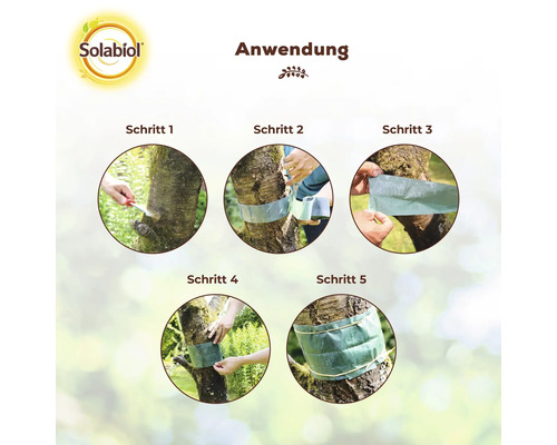 Anleitung zur Anwendung eines Insektenleimrings am Baumstamm, dargestellt in fünf Schritten