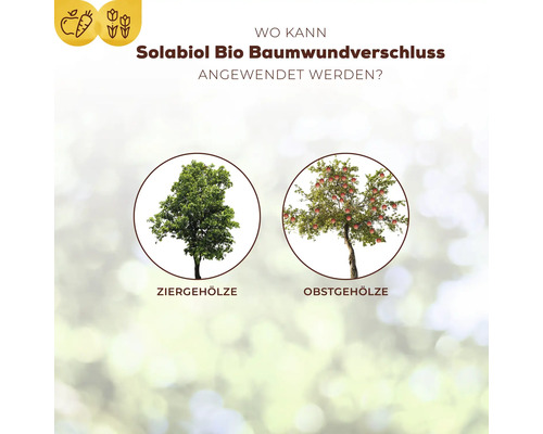 Anwendungsbereiche des Solabiol Bio Baumwundverschlusses: Ziergehölze und Obstgehölze