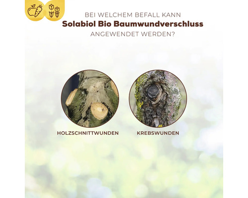 Anwendungsbeispiele für Solabiol Bio Baumwundverschluss bei Holz- und Krebsschnittwunden