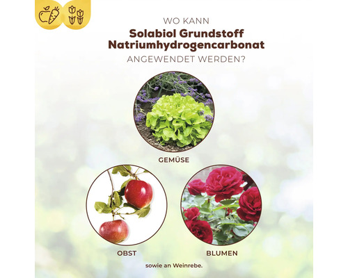 Anwendungsbereiche von Solabiol Grundstoff Natriumhydrogencarbonat: Gemüse, Obst, Blumen und Weinreben.