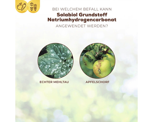 Anwendungsbereiche von Solabiol Natriumhydrogencarbonat gegen Echter Mehltau und Apfelschorf