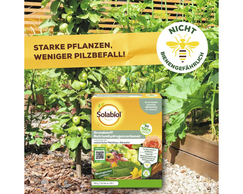 Solabiol Natriumhydrogencarbonat zur Stärkung der Pflanzen und zur Abwehr von Pilzbefall im Garten