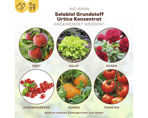 Anwendungsbereiche für Solabiol Grundstoff Urtica Konzentrat: Obst, Salat, Rosen, Johannisbeere, Kürbis und Tomaten.