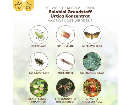 Grafik zur Anwendung von Solabiol Grundstoff Urtica Konzentrat bei Blattlaus, Spinnmilbe, Apfelwickler, Kohlerdfloh, Kohlmotte, echtem Mehltau, Blattfleckenkrankheit, Spitzendürre oder Triebsterben sowie Kraut- und Knollenfäule