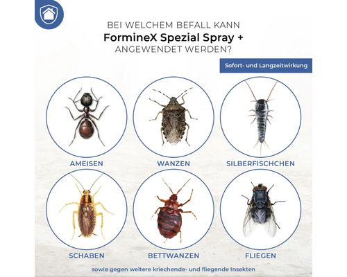 Forminex Spezial Spray plus gegen Ameisen, Wanzen, Silberfischchen, Schaben, Bettwanzen und Fliegen