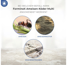 Ameisenmittel Protect Home FormineX Ameisen-Köder Multi 3 Stück, für bis zu 30 qm Raumabdeckung