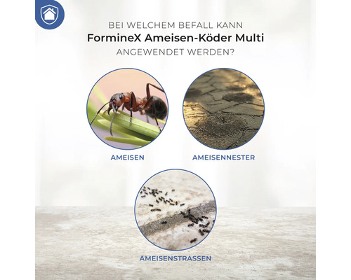 Anwendungsbereiche des FormineX Ameisen-Köder Multi: Ameisen, Ameisennester und Ameisenstrassen