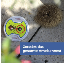 Ameisenmittel Protect Home FormineX Ameisen-Köder Multi 3 Stück, für bis zu 30 qm Raumabdeckung